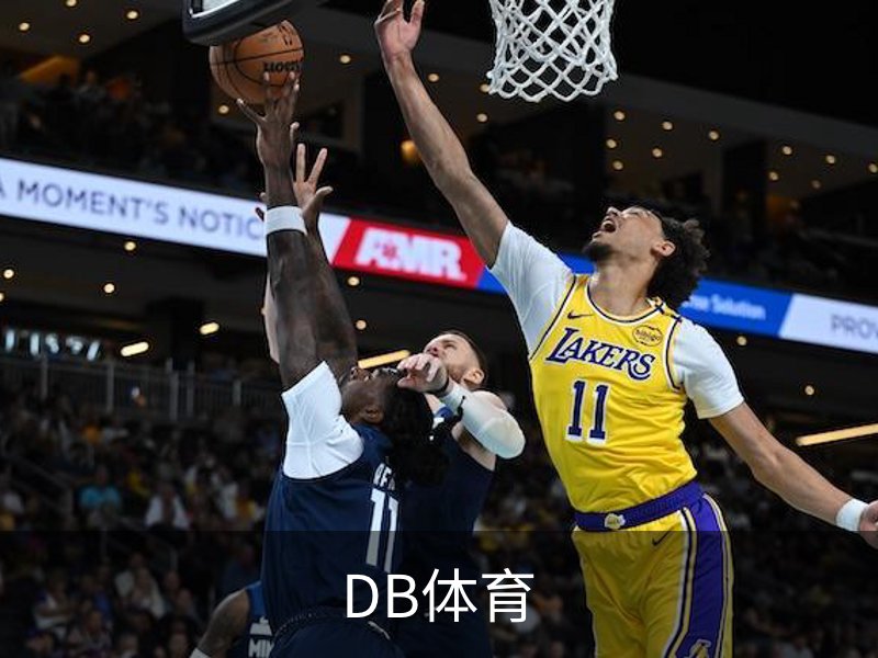 DB体育概况